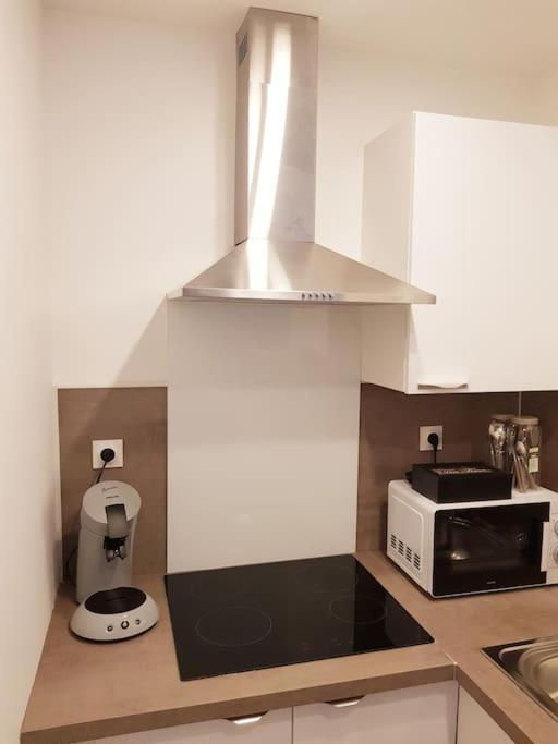 Le Jeanne 4/6 Couchages, Wifi, Sanctuaire Daire Lourdes Dış mekan fotoğraf
